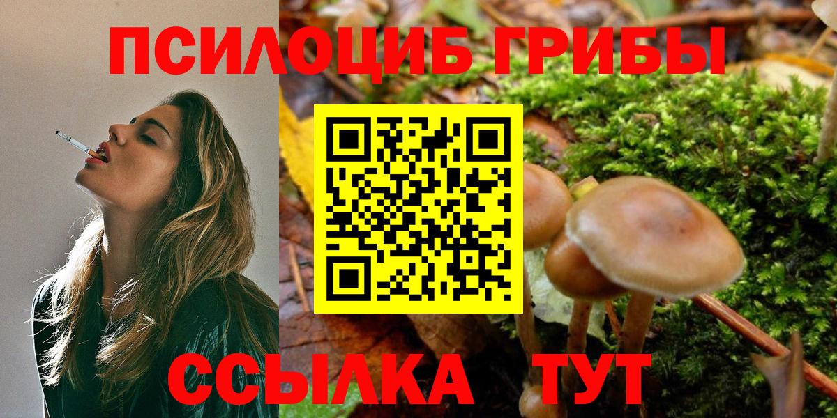 Псилоцибиновые грибы Cubensis  Вход с VPN  Михайловск 